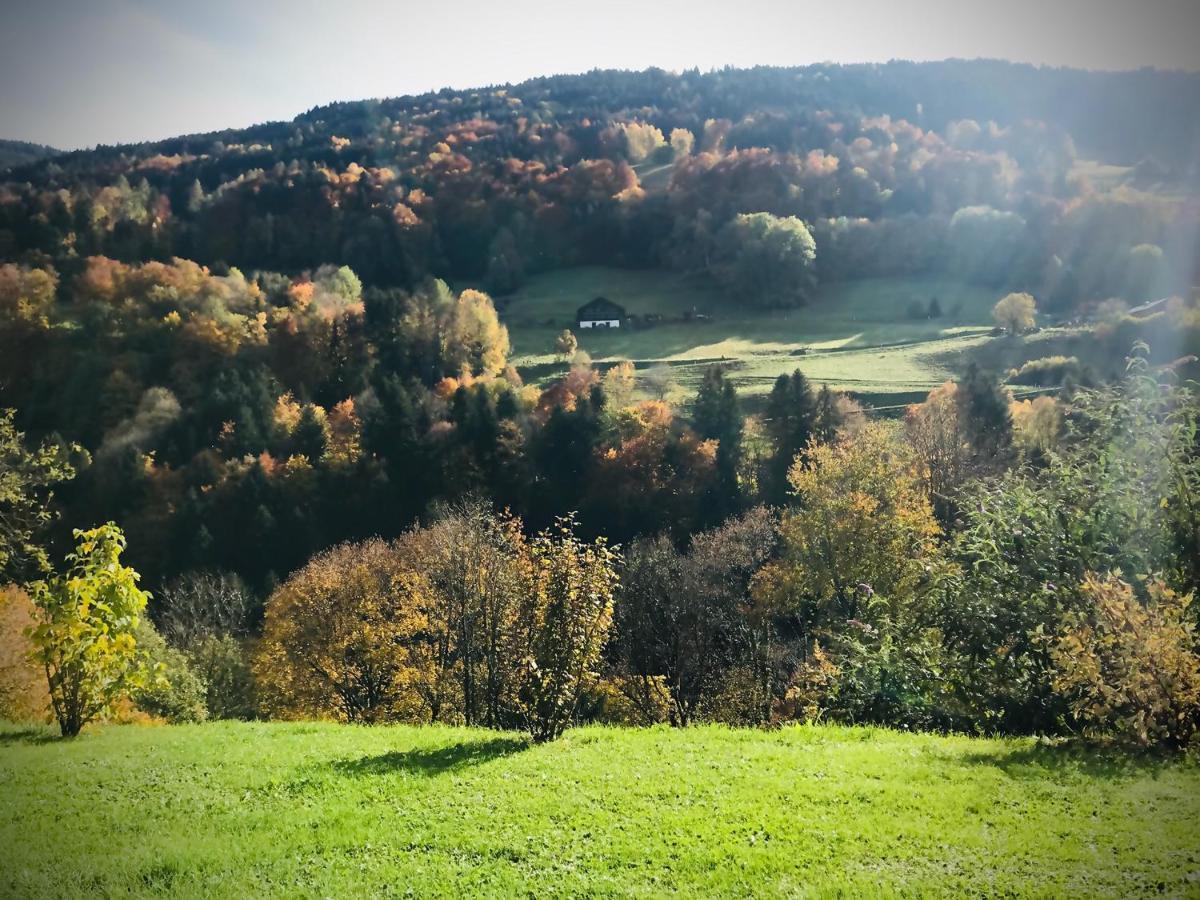 Bed and Breakfast Le 30 Troistorrents Zewnętrze zdjęcie